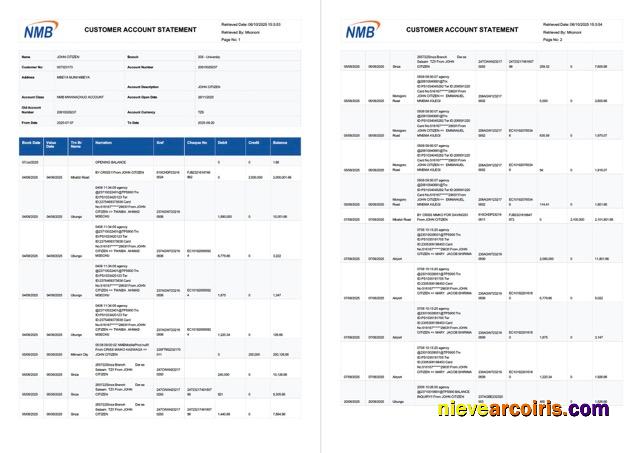 Tanzania NMB Bank account statement Word and PDF, 2 pages